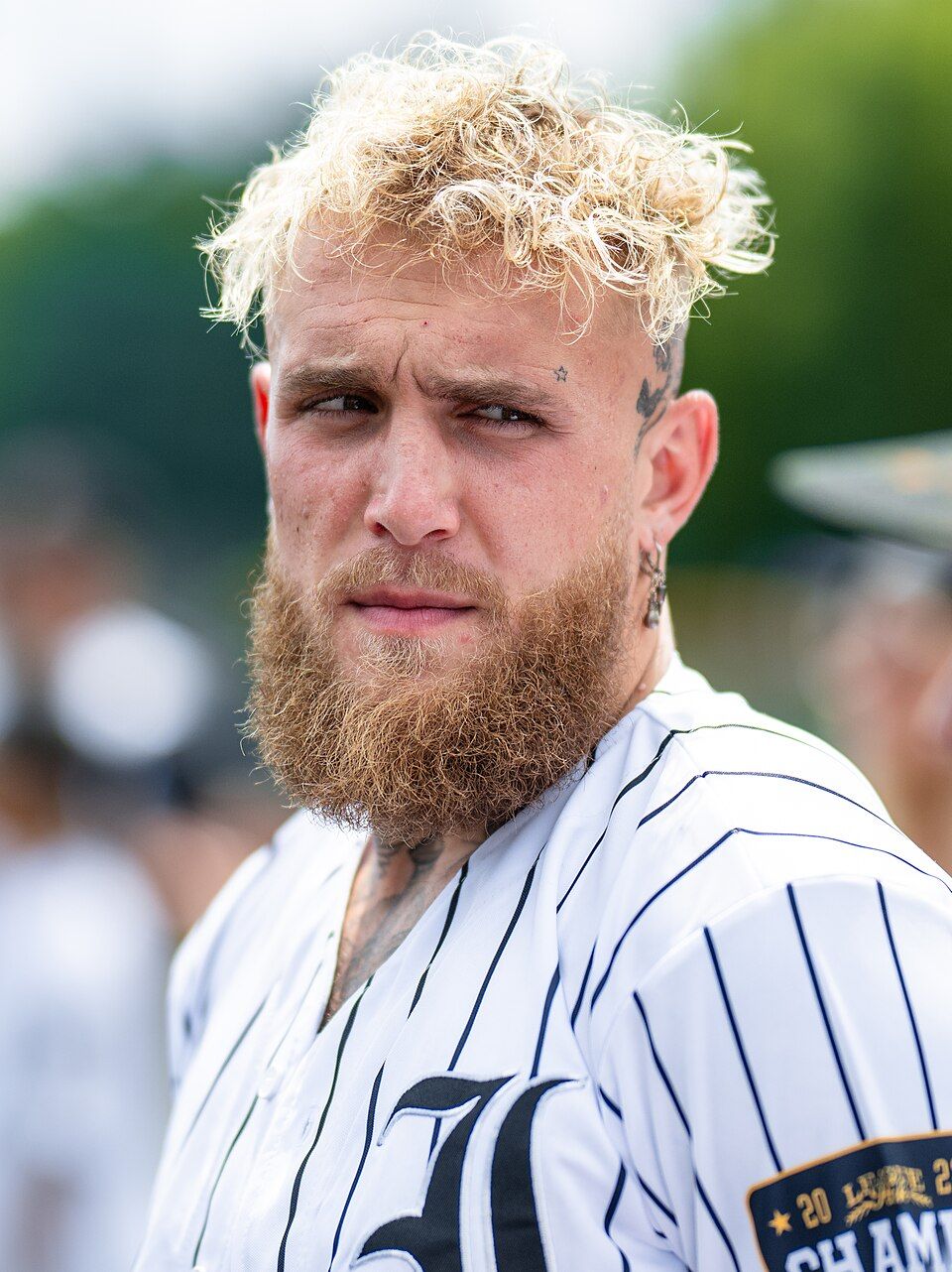 Jake Paul - Wikipedia