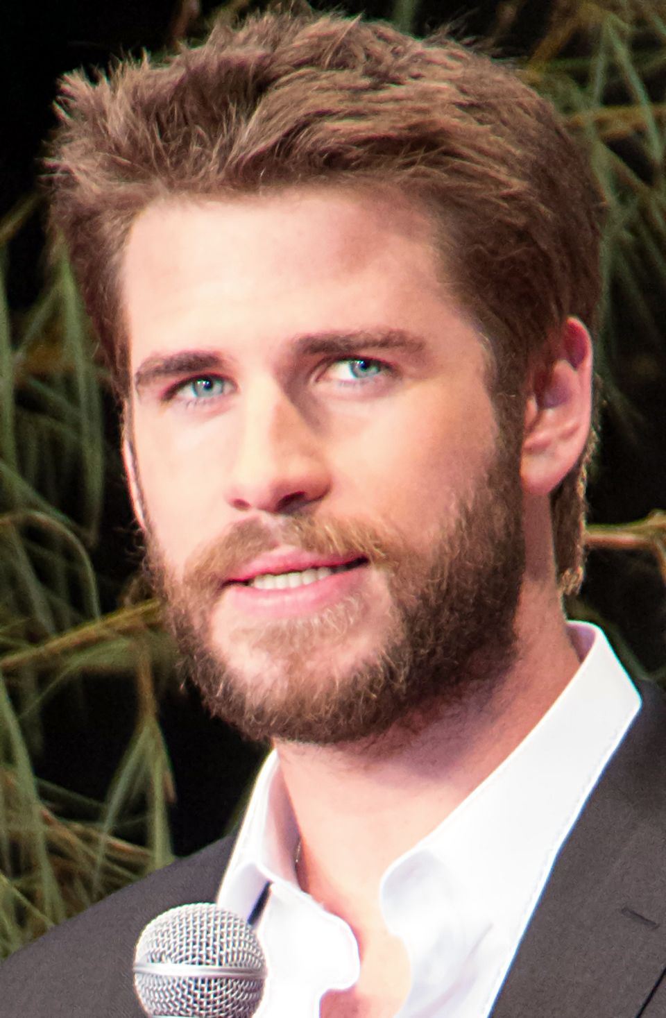 Liam Hemsworth - Wikipedia