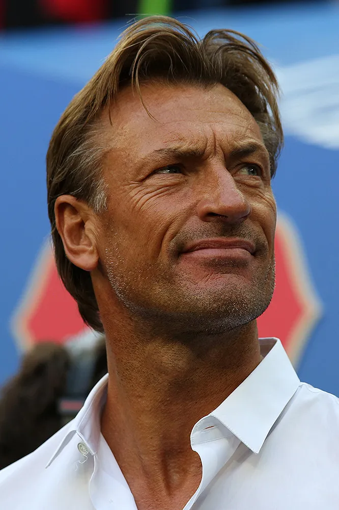 Hervé Renard - Wikipedia