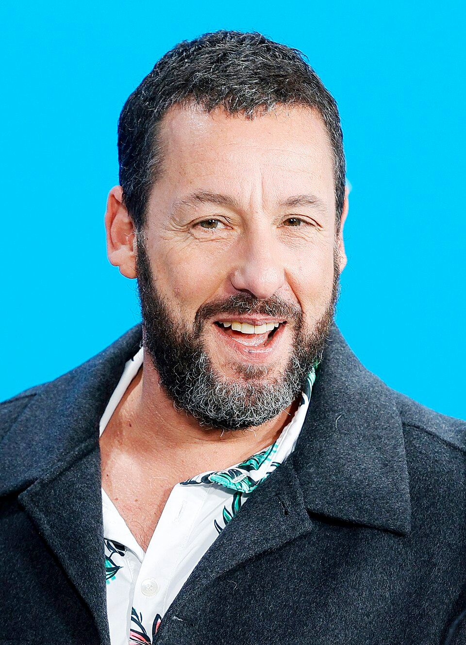Adam Sandler - Wikipedia