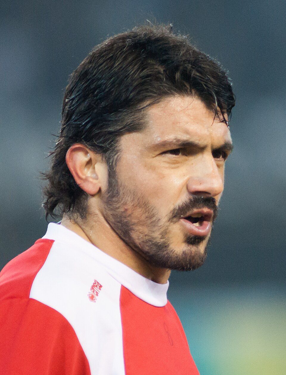 Gennaro Gattuso - Wikipedia