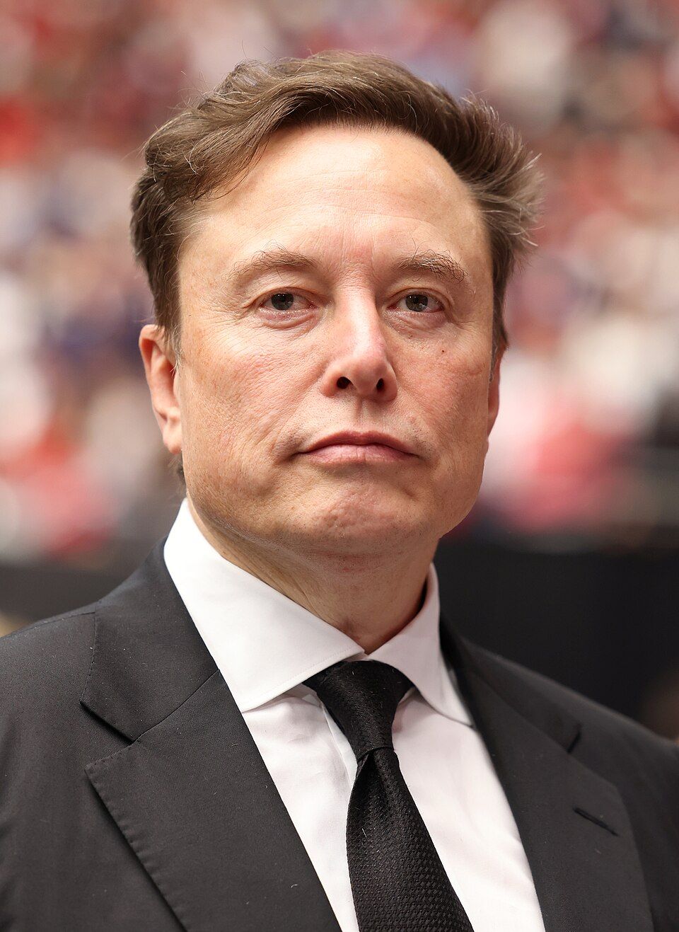 Elon Musk - Wikipedia