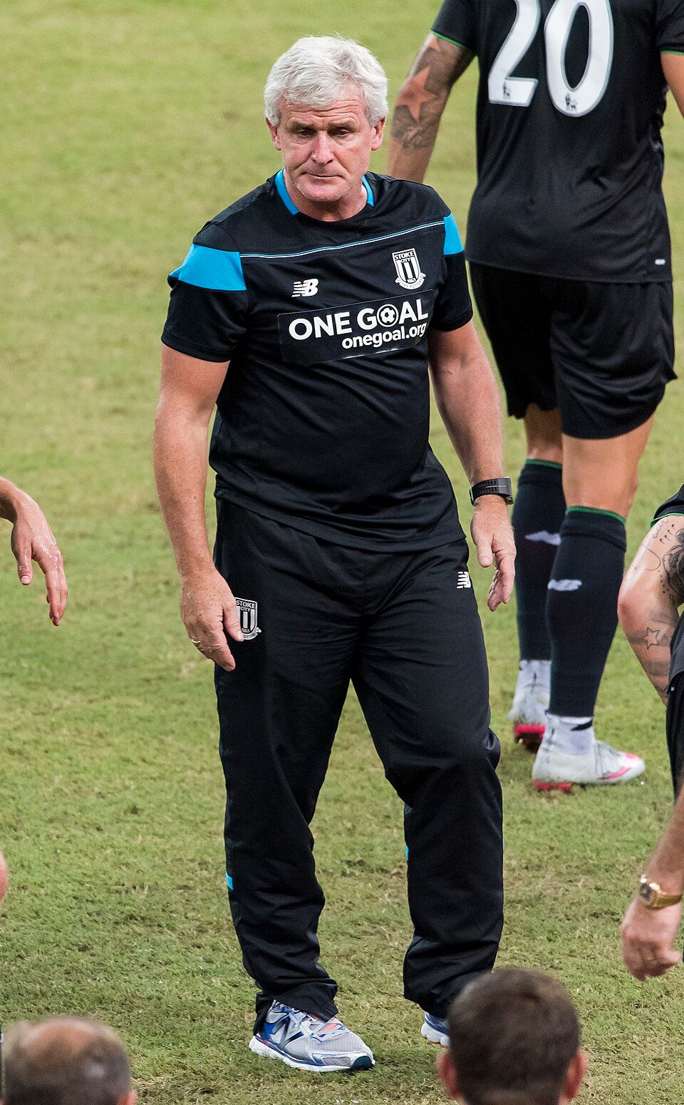 Mark Hughes - Wikipedia