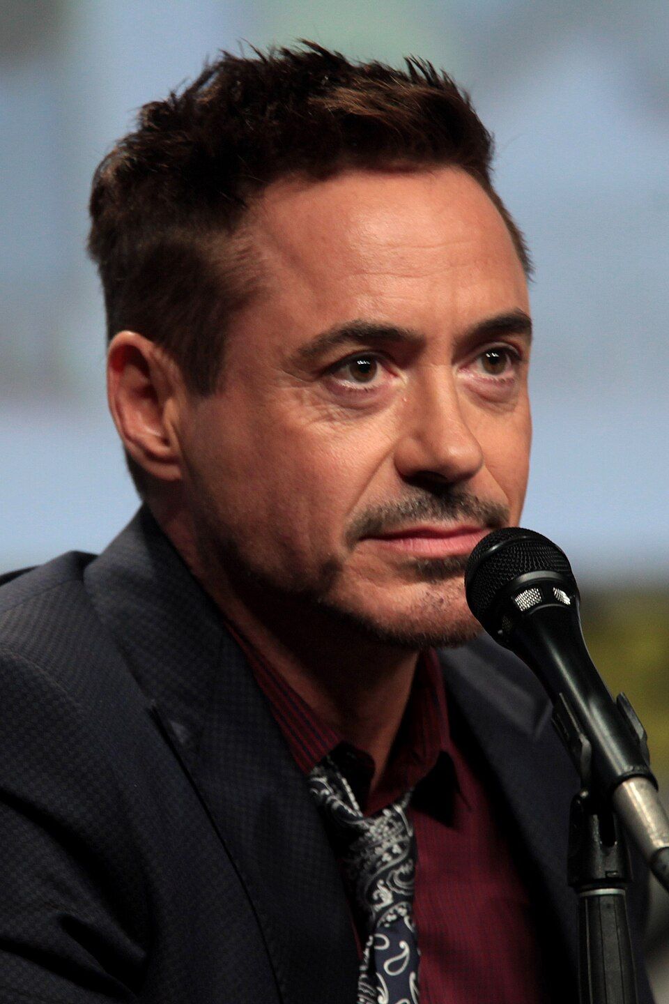 Robert Downey Jr. - Wikipedia